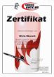 airbrush-zerti1.jpg